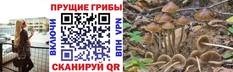 гидра зеркало  Ворсма  Галлюциногенные грибы MAGIC MUSHROOMS 